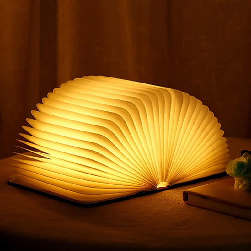 Lampe en forme de  Livre Enchantée